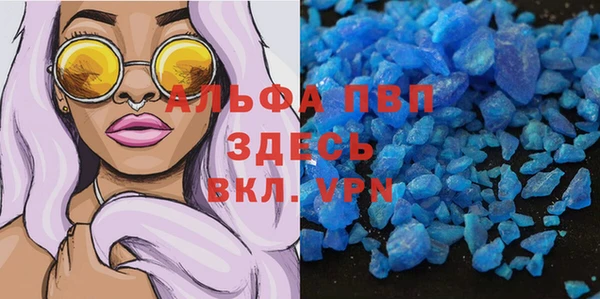 мет Алексин
