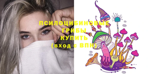 молекула духа Алексеевка