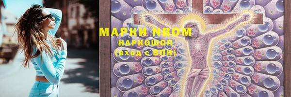 мет Алексин